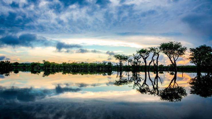 Empresas estadounidenses que degradan la Amazonia