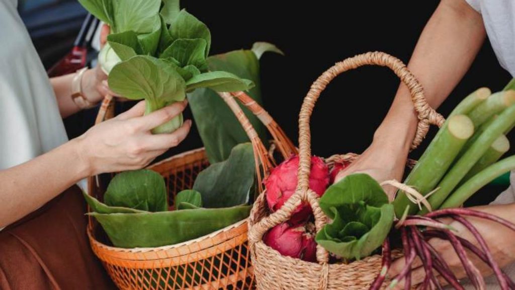 vegetales de estación