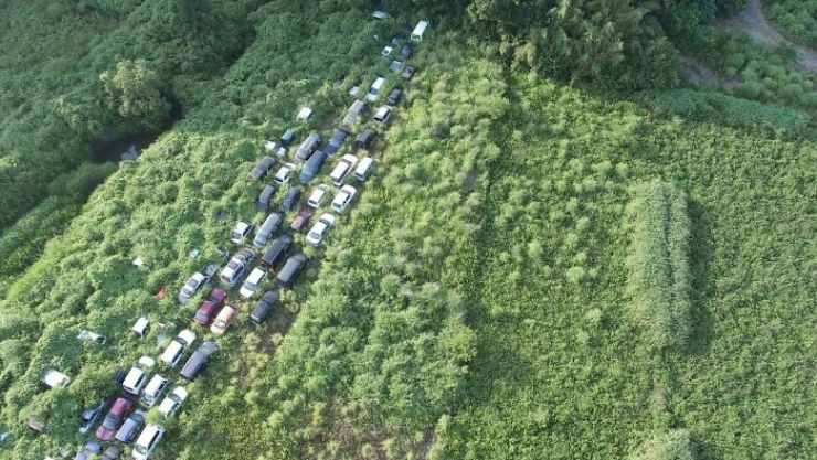 la Naturaleza siempre triunfa