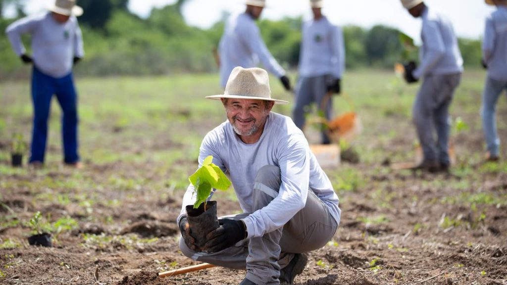 Araguaia: el mayor proyecto de reforestación de Latinoamérica