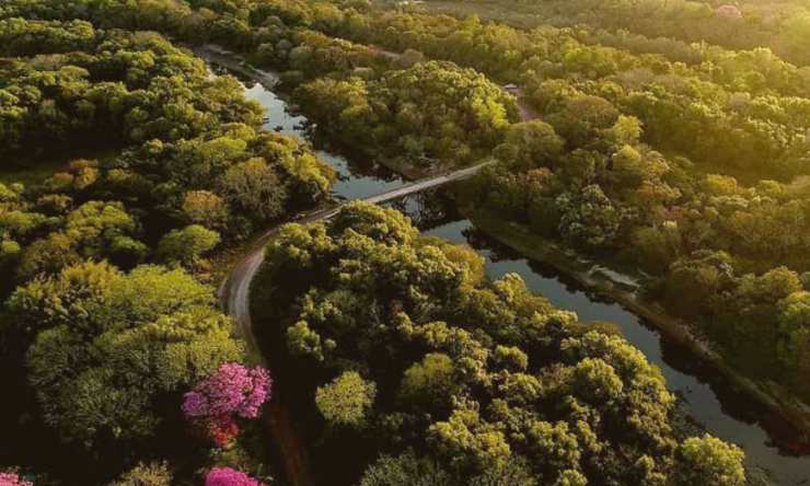 humedales del litoral Argentina