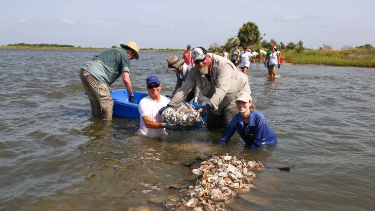 Galveston Bay Foundation