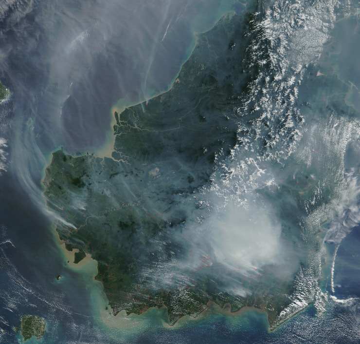 Incendio borneo