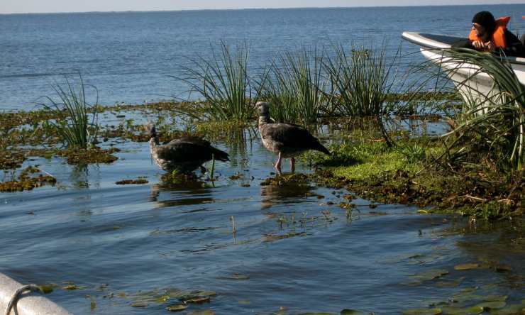 humedales del litoral Argentina