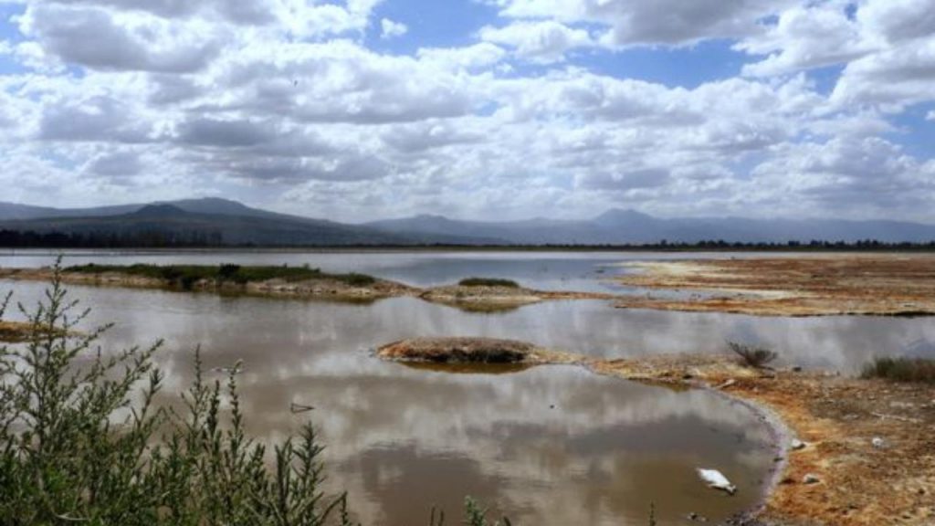 El lago Cuitzeo está acorralado por la contaminación
