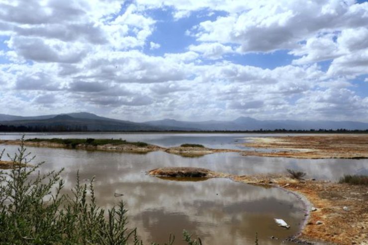 El lago Cuitzeo está acorralado por la contaminación