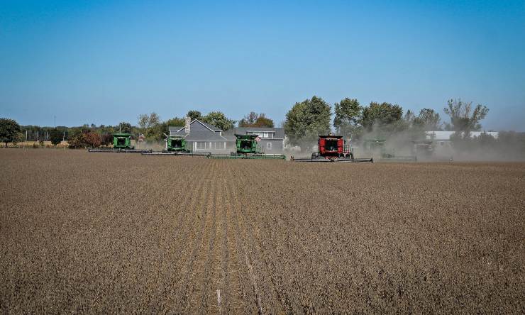 agroindustria