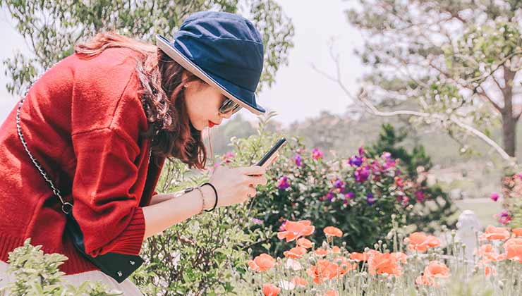 Las aplicaciones para observar plantas son ideales para personas curiosas (Foto de Hoang Chouong - Pexels).