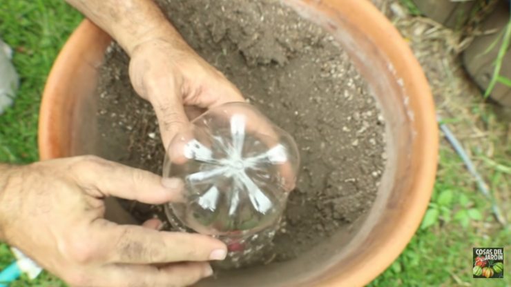 compostar en botellas de plástico