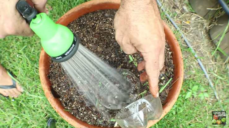 compostaje en botellas de plastico