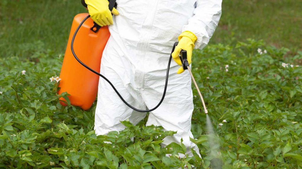 ¡Peligro, glifosato!: qué debes saber del herbicida presente en lo que comes