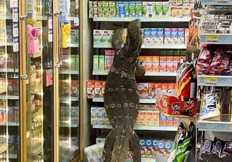 Un lagarto gigante en un supermercado de Tailandia