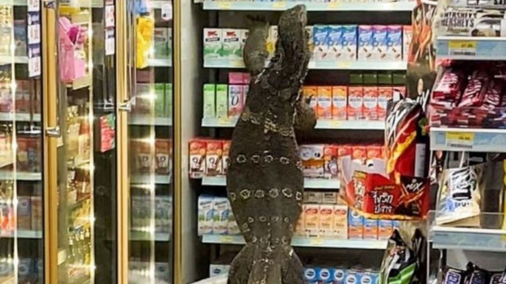 Un lagarto gigante en un supermercado de Tailandia