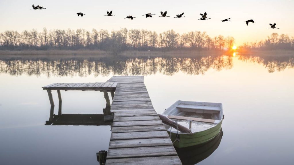 Un recorrido por los lagos más grandes del planeta