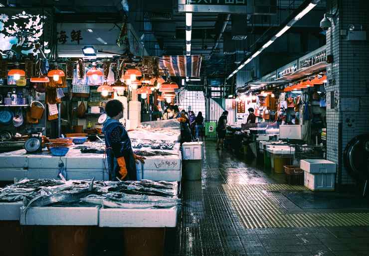 mercado mojado 