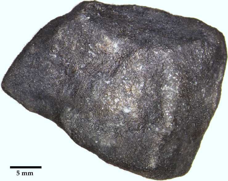 meteorito michigan