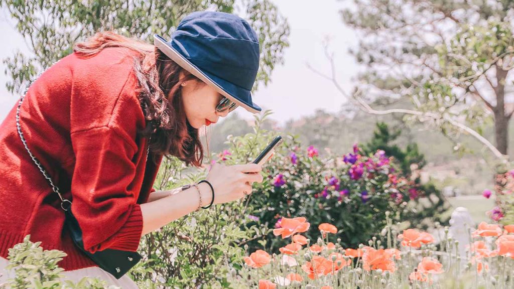 Las aplicaciones para observar plantas son ideales para personas curiosas (Foto de Hoang Chouong - Pexels).