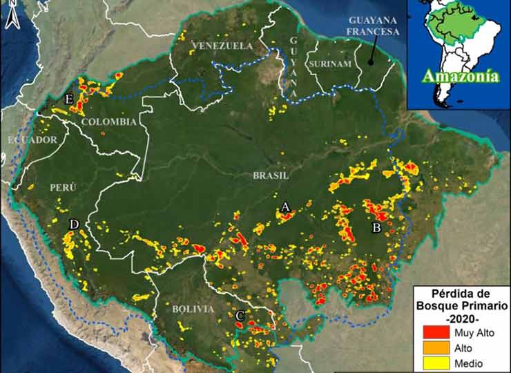 El informe elaborado por el MAAP marca las áreas donde se da la deforestación del Amazonas (Foto: MAAP).