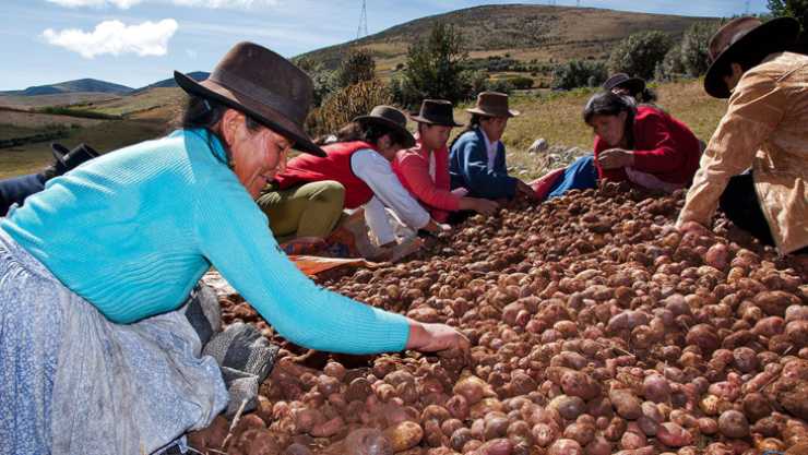 claves para entender el movimiento campesino latinoamericano