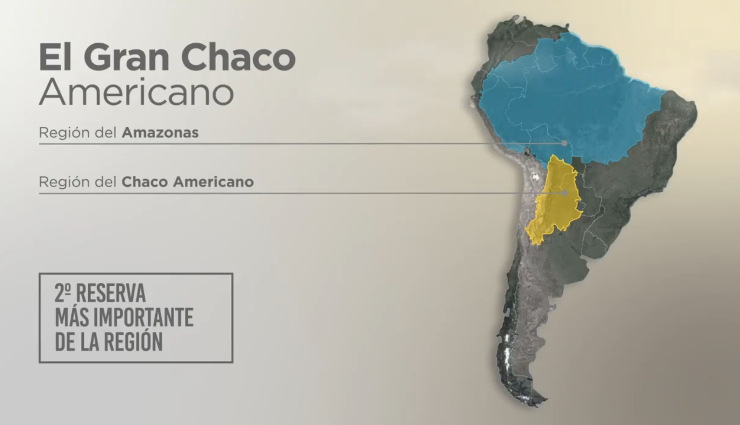 El Gran Chaco