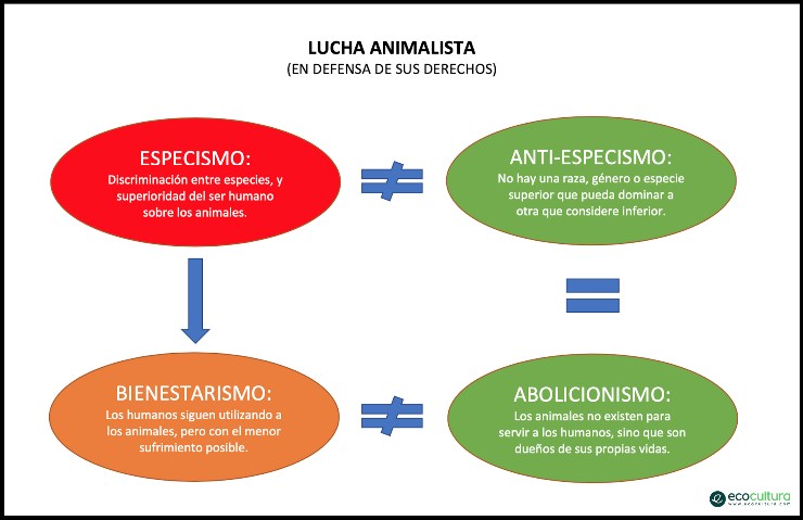 Lucha animalista