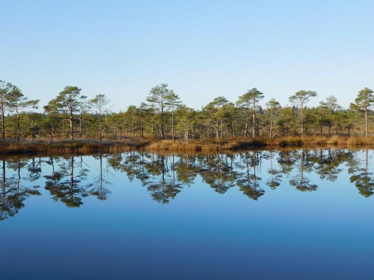 Reserva Natural de Põhja-Kõrvemaa, Estonia