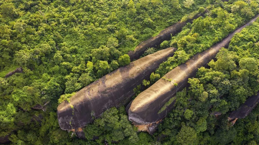 Three Whale Rock: las ballenas de piedra que nadan en una tupida selva