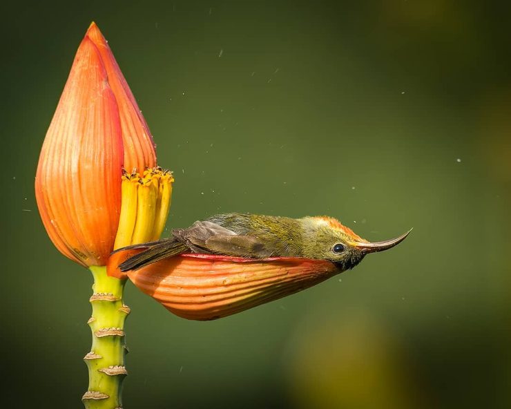 imágenes para sonreír hoy que nos regala la naturaleza