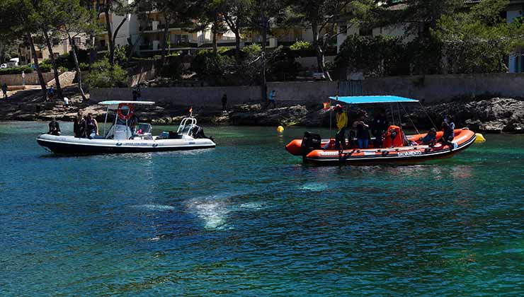 El objetivo del rescate fue impedir que Wally encallara en la costa ((Foto Secretaría de Medioambiente y Territorio del Gobierno de las Islas Baleares - Twitter).