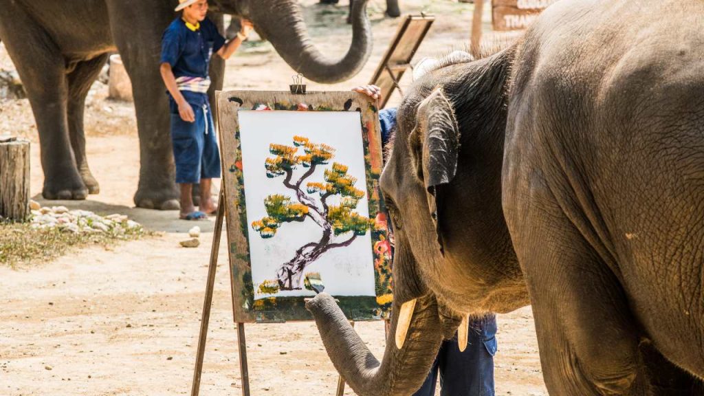 Elefantes que pintan: la triste realidad detrás del espectáculo