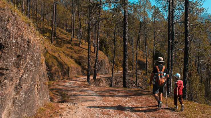 El valor de las familias en la construcción de una ciudadanía ambiental