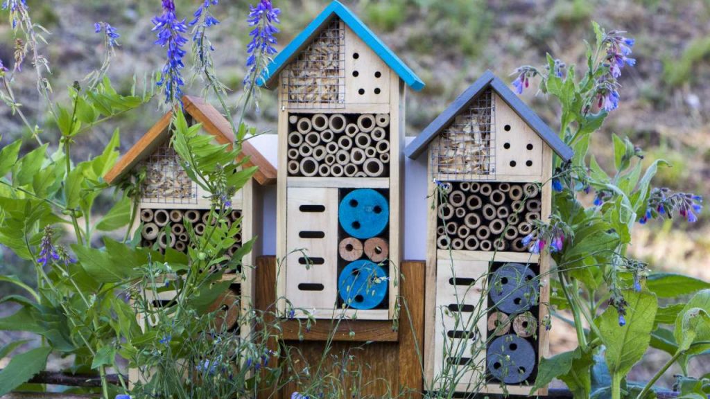 hotel de insectos para tu jardín