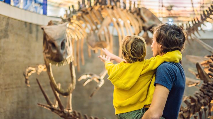 ¿Quieres aprender sobre historia natural? No te pierdas estos museos