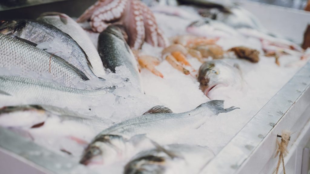 Descubren contaminación con fármacos en pescados de consumo local