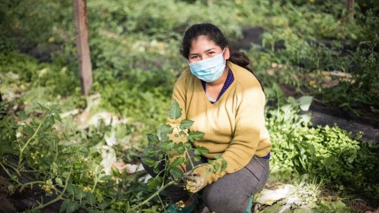 Unión de Trabajadores de la Tierra