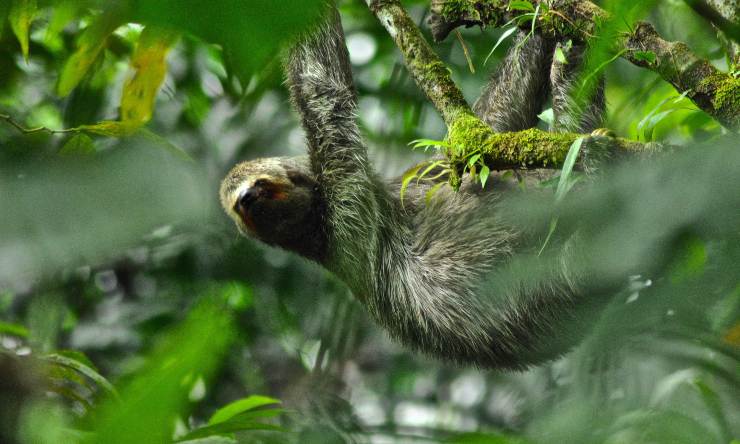 ecoturismo en Colombia