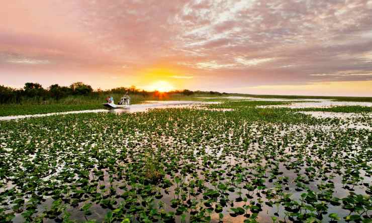 Parque Nacional Everglades