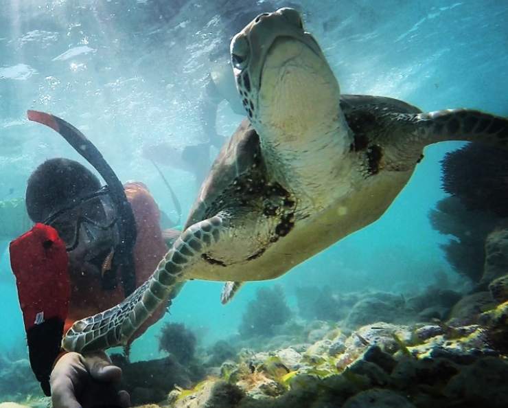 atractivos naturales de Florida