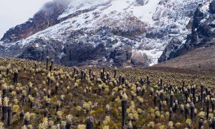 ecoturismo en Colombia