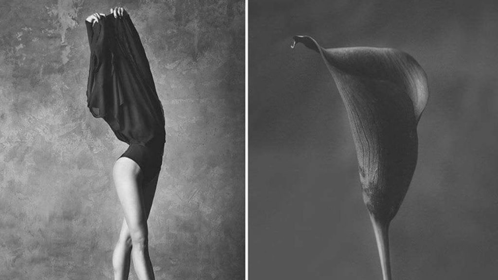 5 hermosas fotografías inspiradas en la naturaleza y la danza