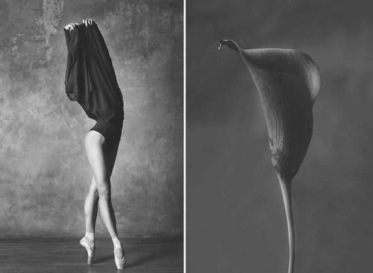 5 hermosas fotografías inspiradas en la naturaleza y la danza