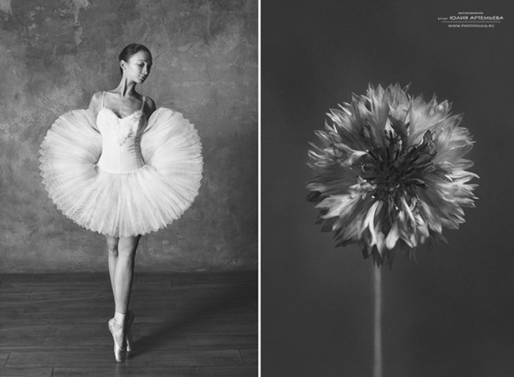 "Bailarinas y flores" de la fotógrafa Yulia Artémieva