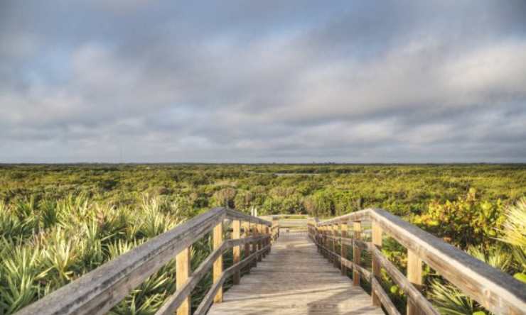 Refugio Nacional de Vida Silvestre Merritt Island