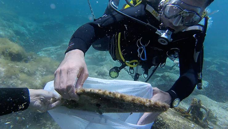 Se estima que el 70 por ciento de la basura plástica en los océanos termina en el lecho marino (Foto: 0 Plastics Menorca).