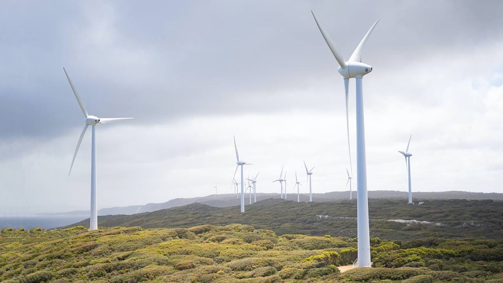 El viento es una gran fuente de energía alternativa. Las granjas eólicas son cada vez más año tras año (Foto: Harry cunningham - Pexels).