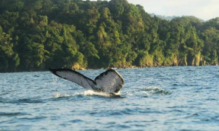 ecoturismo en Colombia