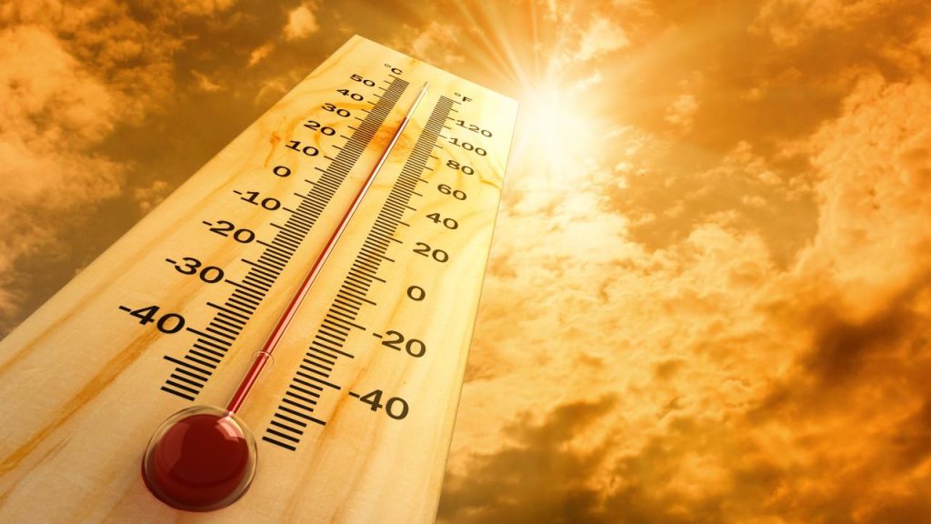 Cambio climático: se incrementa el número de muertes asociadas al calor