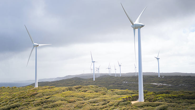 El viento es una gran fuente de energía alternativa. Las granjas eólicas son cada vez más año tras año (Foto: Harry cunningham - Pexels).